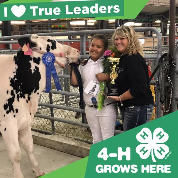 Meet your Posher, Sue - Picture 1 of 1